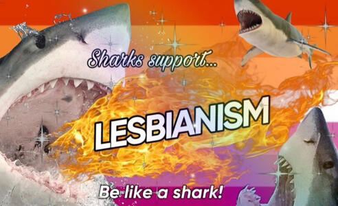 SHAAAARKS